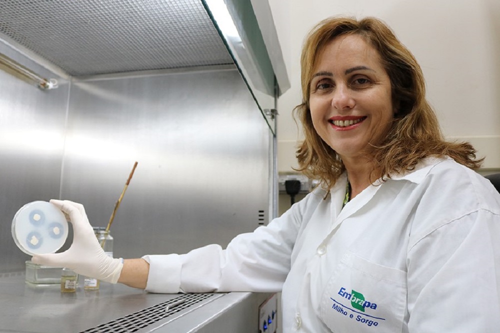 Christiane Paiva (foto à direita), pesquisadora da área de Microbiologia do Solo da Embrapa Milho e Sorgo (MG), responsável pela pesquisa que chegou ao produto comercial, comemora os resultados